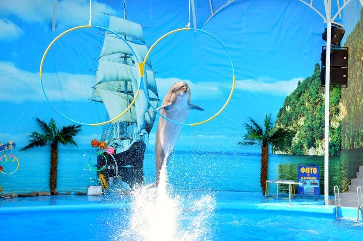 Дельфинарий